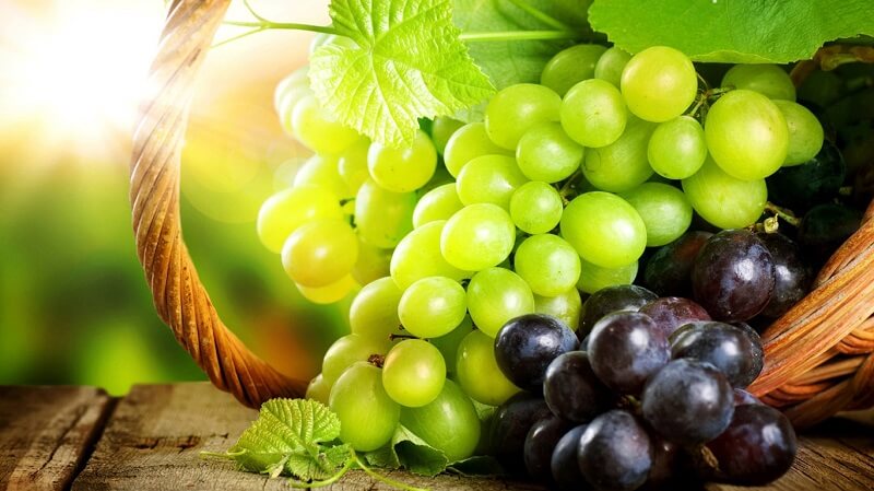 Подкормка винограда